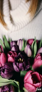 くすみカラーのチューリップ