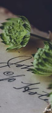 手書きの手紙と花