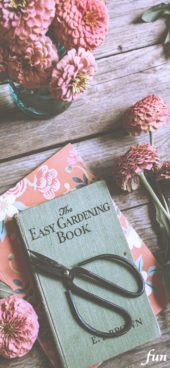 花用のはさみと本と花