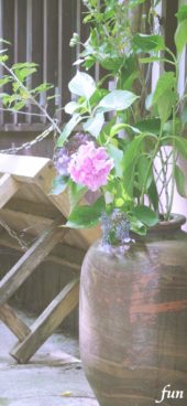 陶器に飾られた花