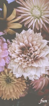 くすみカラーの花