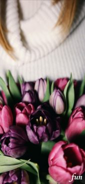 くすみピンクのチューリップ