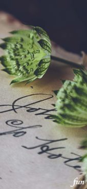 手書きの手紙と花