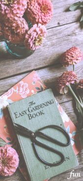 花ばさみと本と花