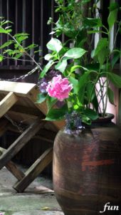 陶器に飾った花