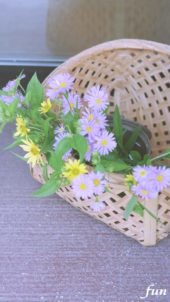 カゴに飾られた紫と黄色の花