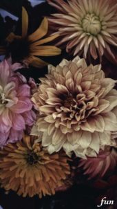 くすみカラーの花