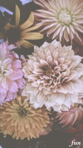 くすみカラーの花