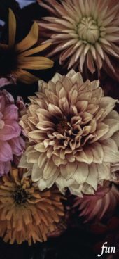 くすみカラーの花