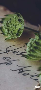 手書きの手紙と花