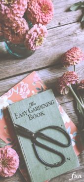 本と花ばさみと花