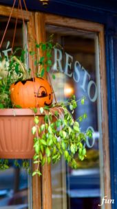 ハロウィンのディスプレイ