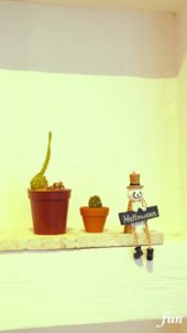 ハロウィンの飾り