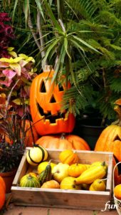 笑ってるハロウィンのかぼちゃ