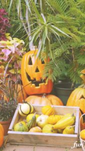 笑ってるハロウィンのかぼちゃ