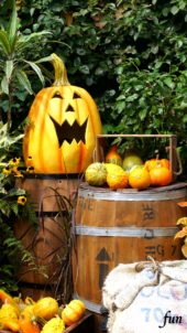 笑ってるハロウィンのかぼちゃ