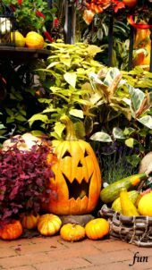 笑ってるハロウィンのかぼちゃ