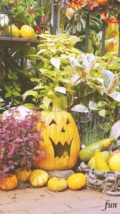 笑ってるハロウィンのかぼちゃ