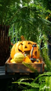 笑うハロウィンかぼちゃ