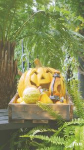 笑うハロウィンかぼちゃ