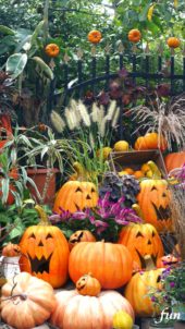 笑うハロウィンかぼちゃ