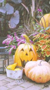 笑うハロウィンかぼちゃ