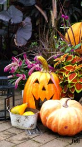 笑うハロウィンかぼちゃ