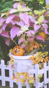 笑うハロウィンかぼちゃ