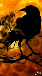 不気味なカラス