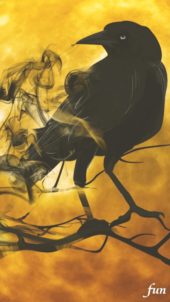 不気味なカラス