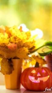 カボチャランタンと花