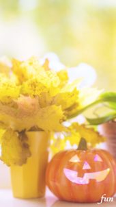 カボチャランタンと花