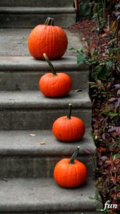 階段に置かれたかぼちゃ