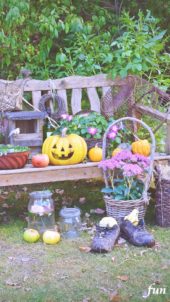 ハロウィンの庭