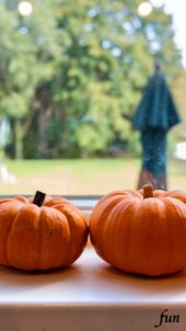 窓辺のかぼちゃ