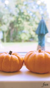 窓辺のかぼちゃ