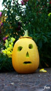 ランタン顔のかぼちゃ