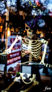 ショーウインドウのガイコツ