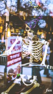 ショーウインドウのガイコツ