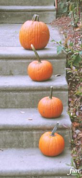 階段のかぼちゃ