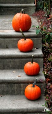 階段のかぼちゃ