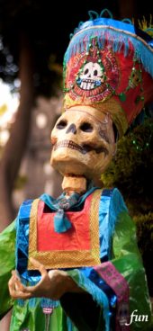 高貴な衣装のガイコツ