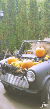 ガイコツがのっている車