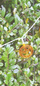 緑の中のハロウィン飾り