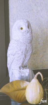 ふくろうとかぼちゃ