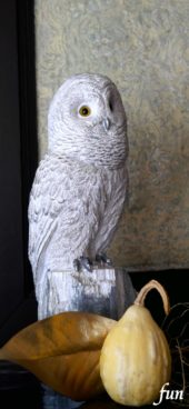 ふくろうとかぼちゃ