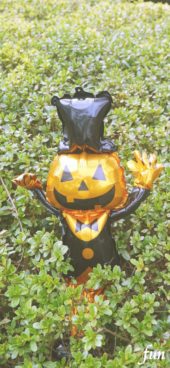 ジャックオーランタンバルーン