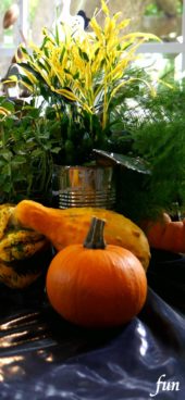 ハロウィンの飾り