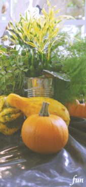 ハロウィンの飾り