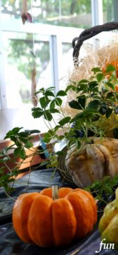 ハロウィンの飾り